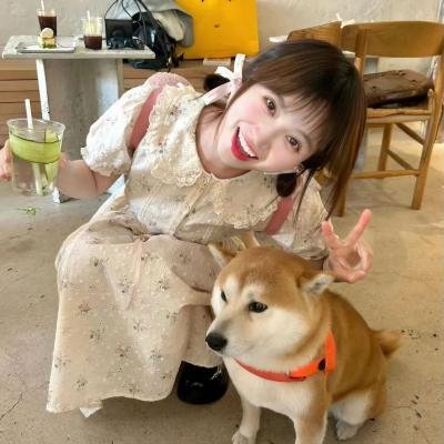 非洲之王